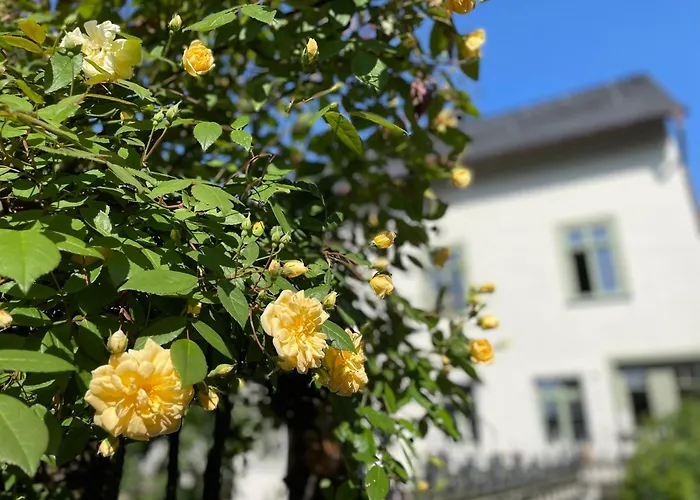 Gut Bunt Ferienhaus